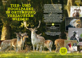 InnSide Ausgabe 05/2020 <br/>Bericht Tier u. Vogelpark